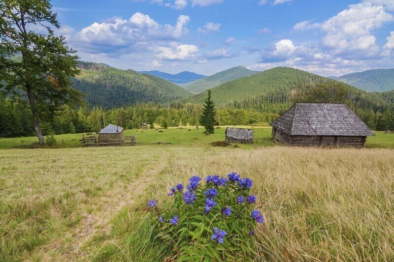 TOP 10 THINGS TO DO IN THE UKRAINIAN CARPATHIANS