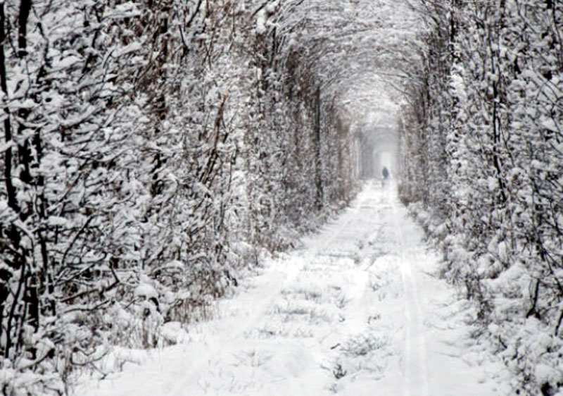 Tunnel of Love in Winter
