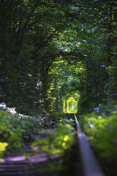 THE TUNNEL OF LOVE – ONE OF THE MOST ROMANTIC GETAWAYS